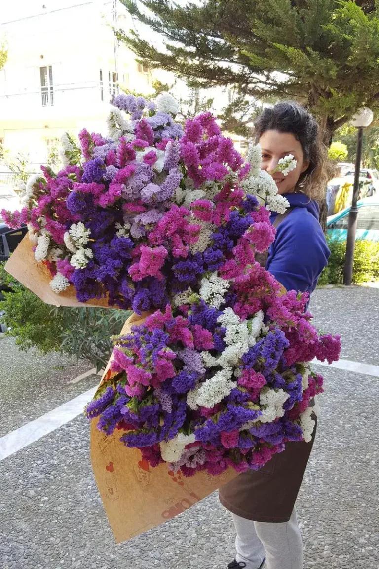 08.floraison-sextika-me-mas