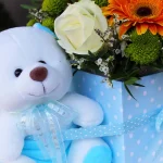 floraison_baby_boy_boxc