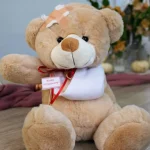 floraison_get_well_teddy_bear