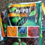 floraison_hypot_a