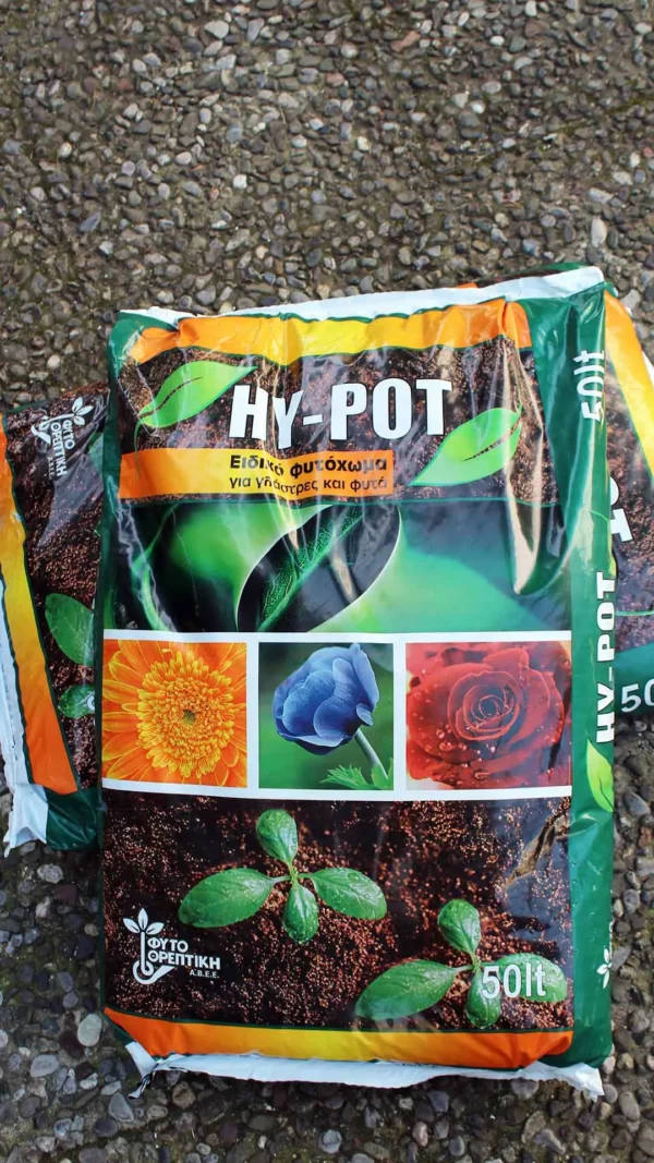 floraison_hypot_a