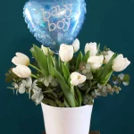 floraison_leukes_toulipes_se_kaspo_baby_boy_a