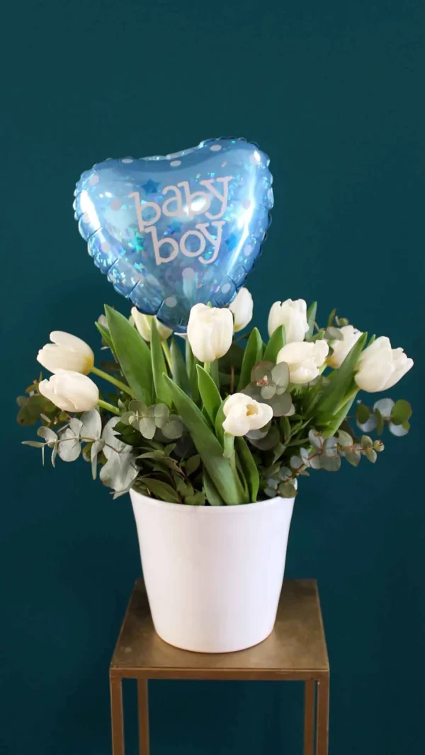 floraison_leukes_toulipes_se_kaspo_baby_boy_a