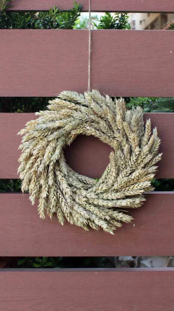 floraison_stefani_staxia_fisika_a