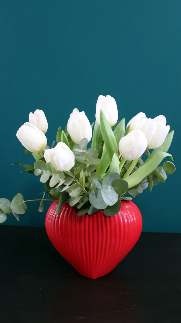 floraison_toulipes_se_vazo_kardia_a