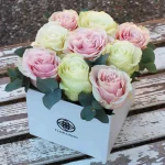 floraison_triantafilla_se_leuko_kouti_a