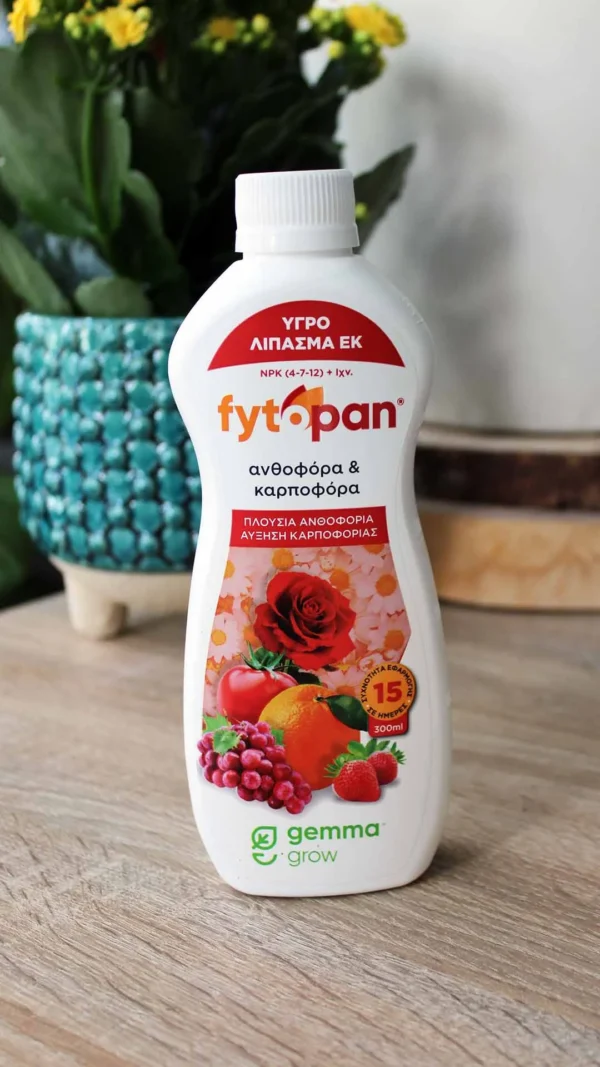 floraison_ygro_lipasma_anthofora_a