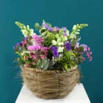 floraison_agros_sto_kalathi_a