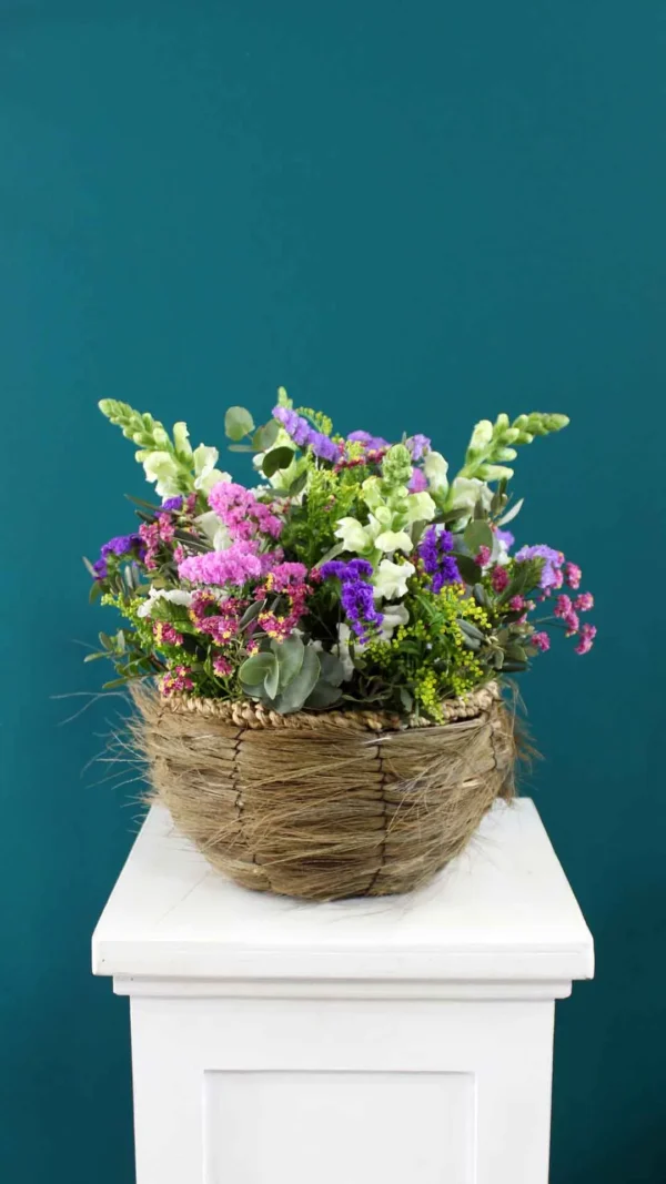 floraison_agros_sto_kalathi_a