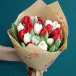 floraison_mpouketo_20_toulipes_kokkino_leuko_a
