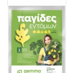 floraison_pagides_entomon_fylla