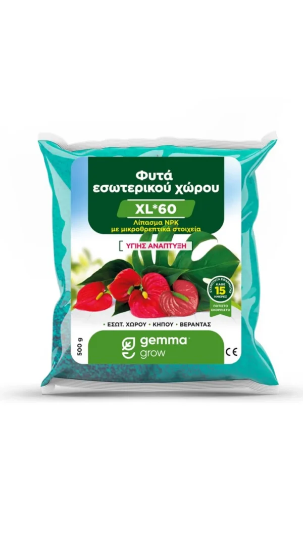 floraison_xl_60_1_kilo