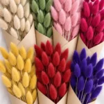 Floraison_lagourous_profile
