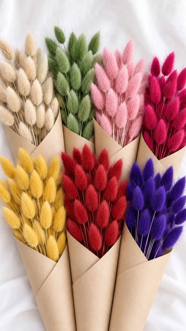 Floraison_lagourous_profile