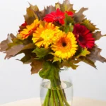 Floraison_mpouketo_fthinoporines_zerberes_a