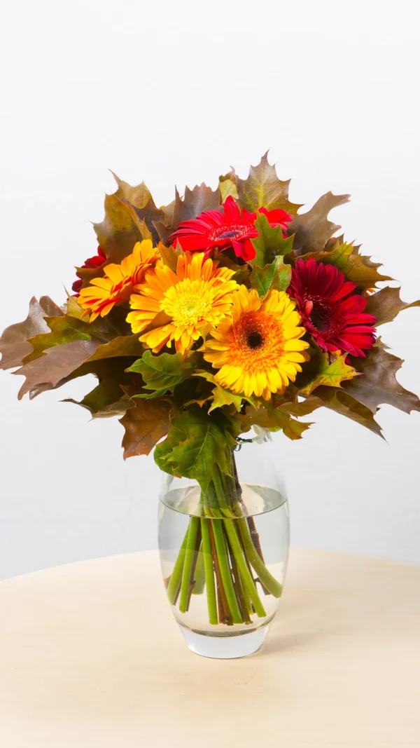Floraison_mpouketo_fthinoporines_zerberes_a