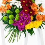 Floraison_mpouketo_xrisanthema_a