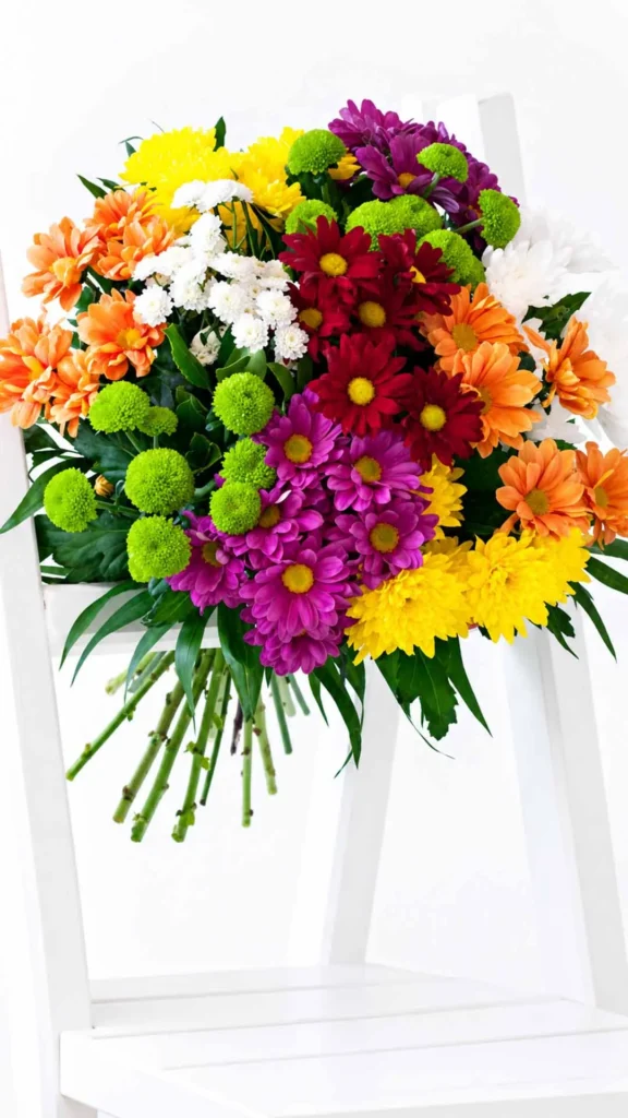 Floraison_mpouketo_xrisanthema_a