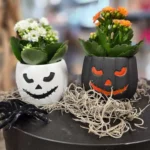 Floraison_mini_kalagxoi_halloween_a