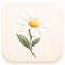 floraison-points-margarita