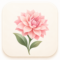 floraison-points-ntalia